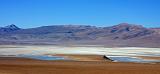 BOLIVIA - Verso il Chile - 19